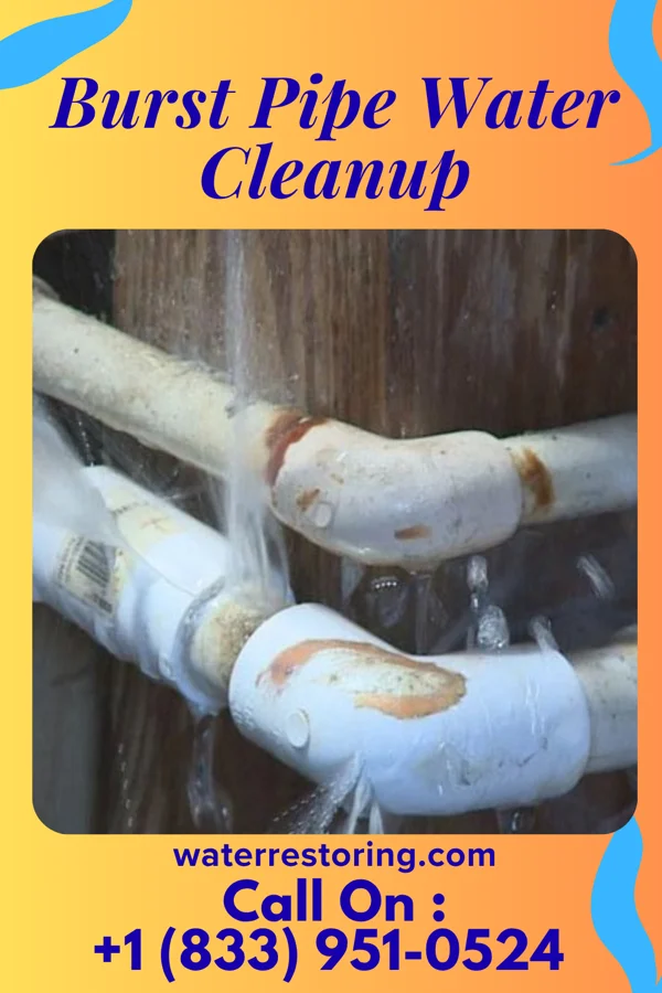 Burst Pipe Water Cleanup in Brandt, OH