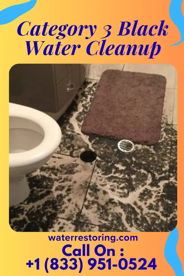 Category 3 Black Water Cleanup in Brandt, OH