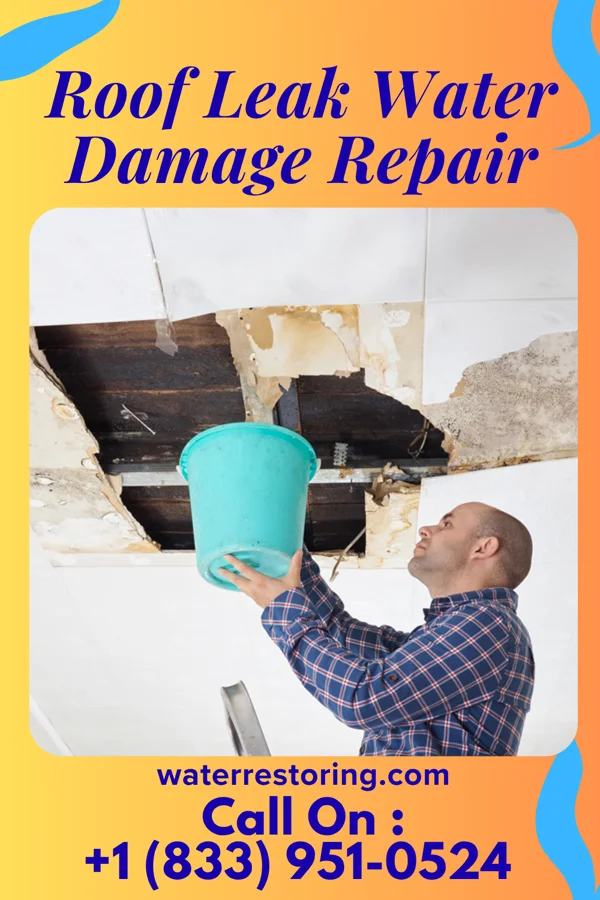 Roof Leak Water Damage Repair in Brandt, OH