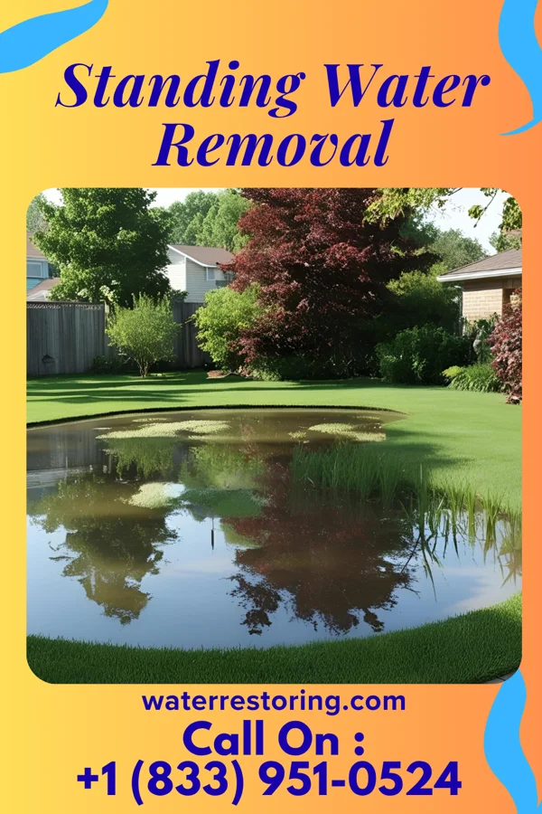 Standing Water Removal in Brandt, OH